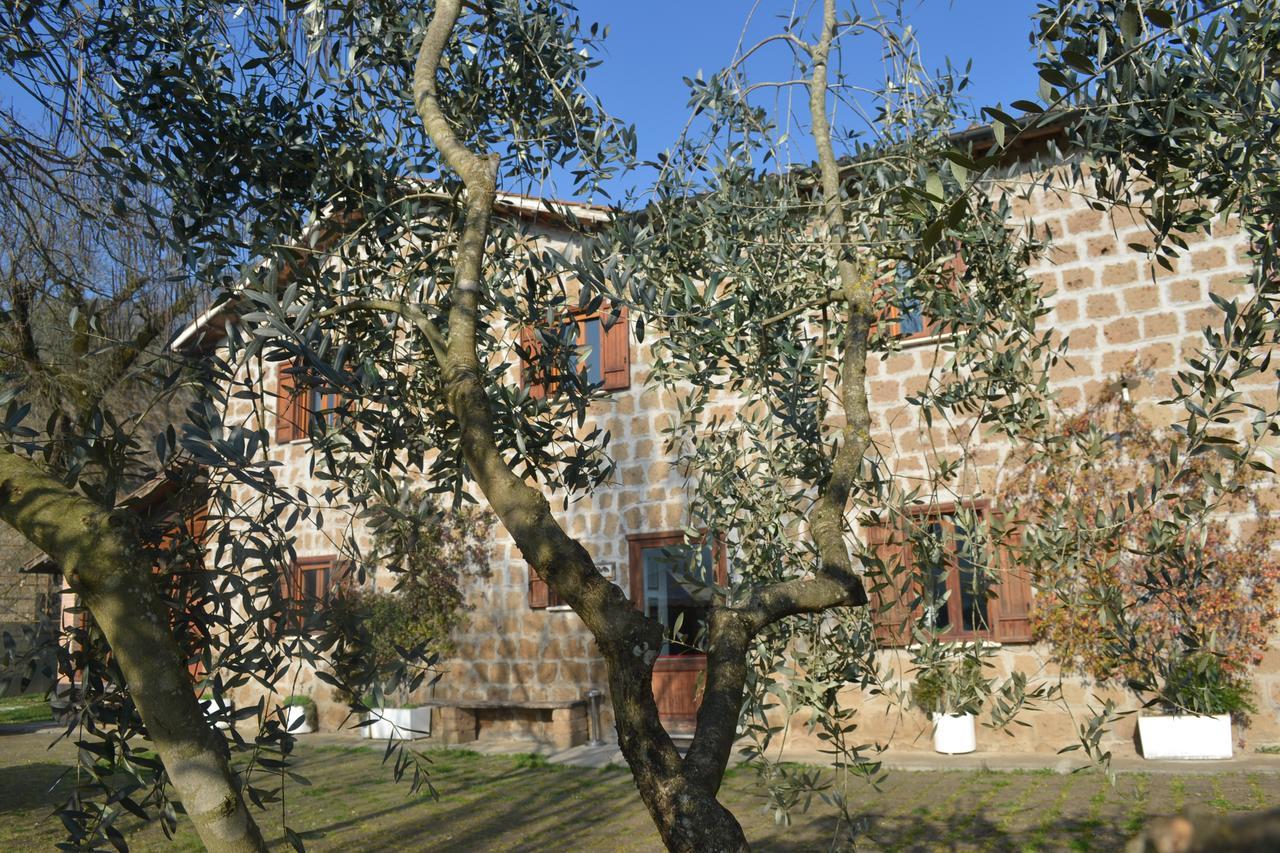 Agriturismo Le Forre Del Treja Civita Castellana Exterior photo